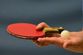 /todo-listo-para-la-copa-social-de-tenis-de-mesa-en-el-palomar