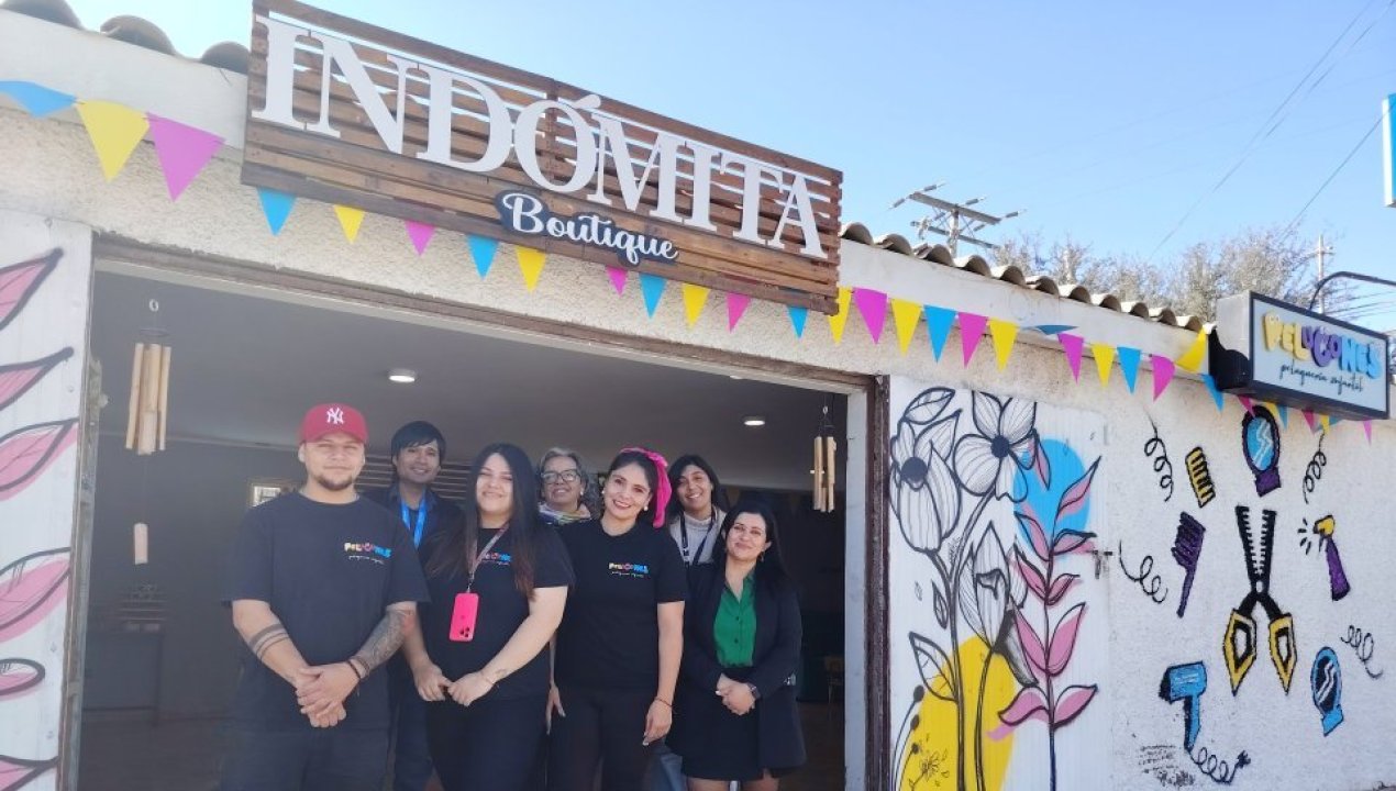 /sercotec-atacama-anuncia-apertura-de-convocatoria-del-fondo-capital-abeja