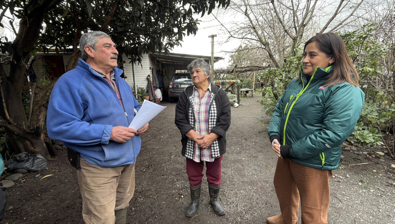 /sag-biobio-levanta-cuarentenas-por-influenza-aviar-en-aves-de-traspatio-en