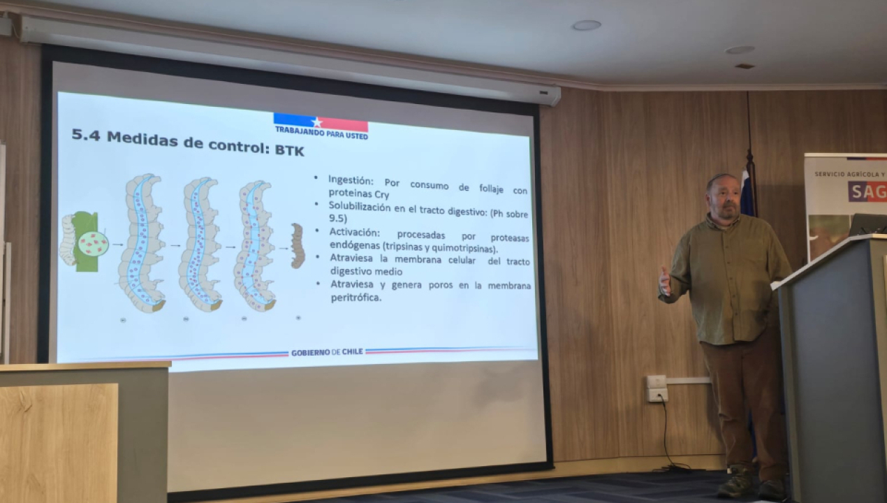 /para-fortalecer-capacidades-tecnicas-de-sus-funcionarios-as-sag-biobio