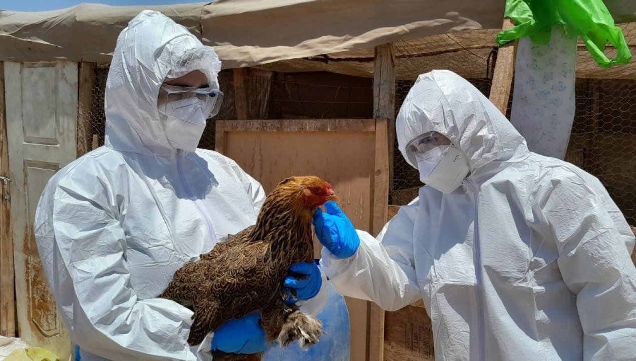 /la-region-de-arica-y-parinacota-cumplio-un-ano-en-emergencia-sin-presentar