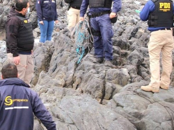 77,5 toneladas de huiro negro extraído ilegalmente fueron incautados en la provincia del Huasco