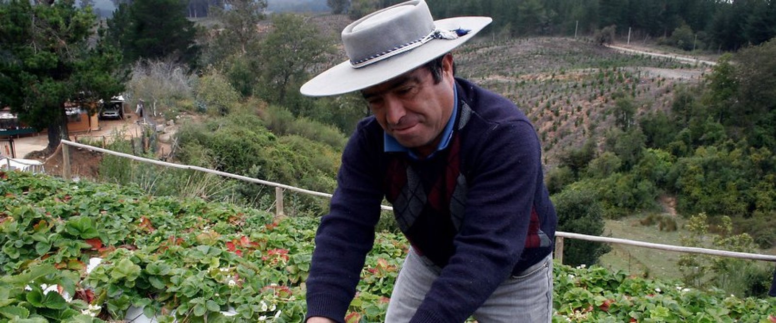 Alza de fertilizantes por conflicto en Medio Oriente genera alerta en el agro chileno