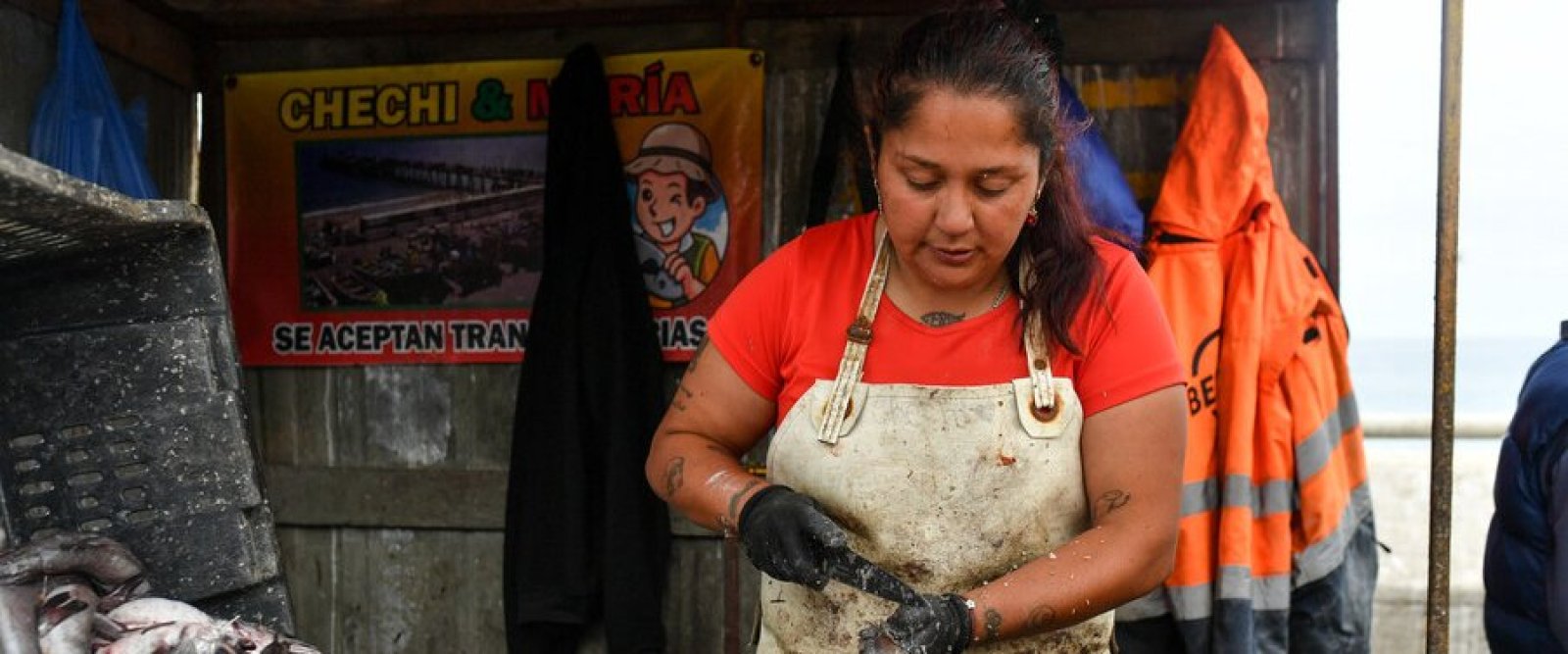Nuevo proyecto de ley busca dar respaldo legal y estabilidad a mujeres de la pesca artesanal