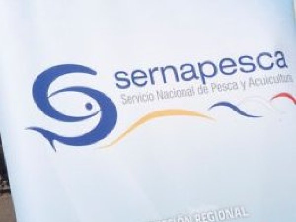 Casi dos toneladas de pescado ilegal fueron incautadas en Coquimbo